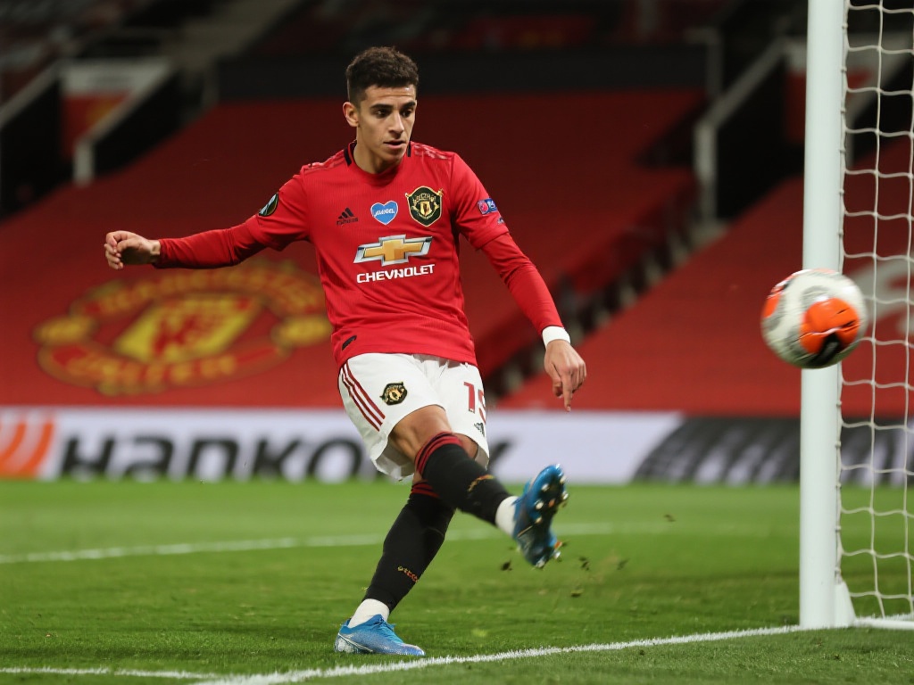 卡塔尔举办 卡塔尔举办